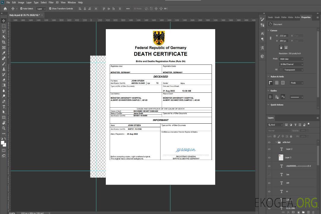 Modèle Word et PDF de certificat de décès en Allemagne template Modèle Word et PDF de certificat de décès en Allemagne template